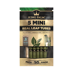 King Palm - Mini - 5 Pack 1G